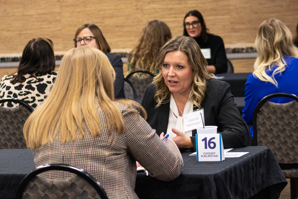 2026 Intentional Collisions