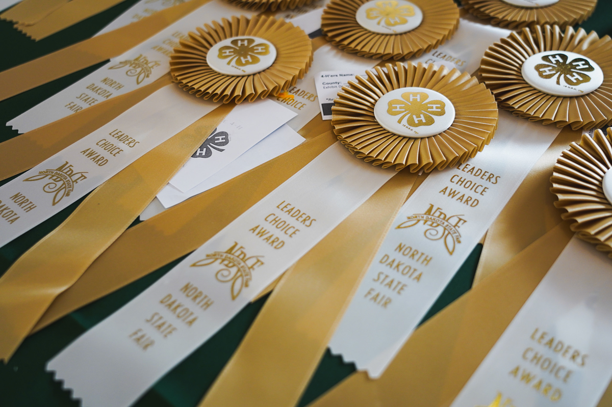 2026 4-H Public Leaders Showmanship Event